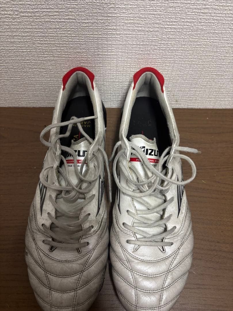 モレリアネオ4 29.0